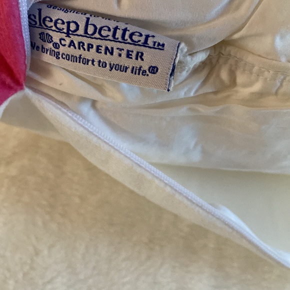 EUC FRIDA KAHLO Decorative Accent Zippered Pillow🌹 Includes bonus Insert pillow - Picture 10 of 16